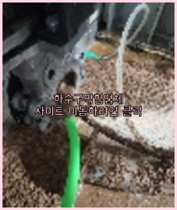 오수관막힘