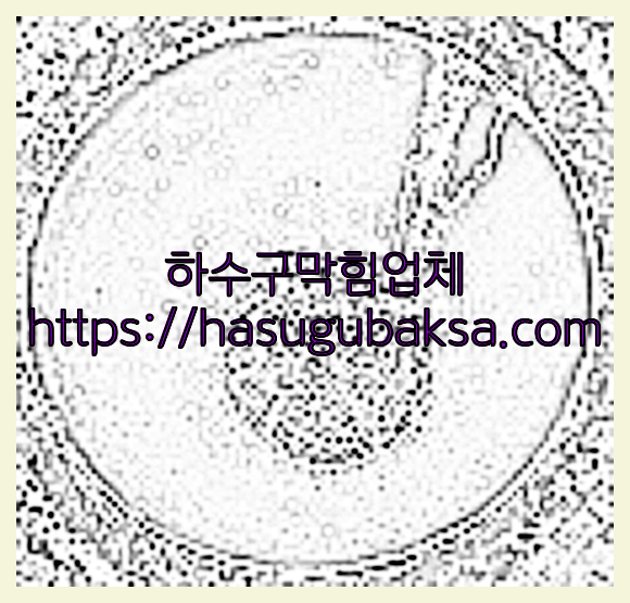 하수구청소