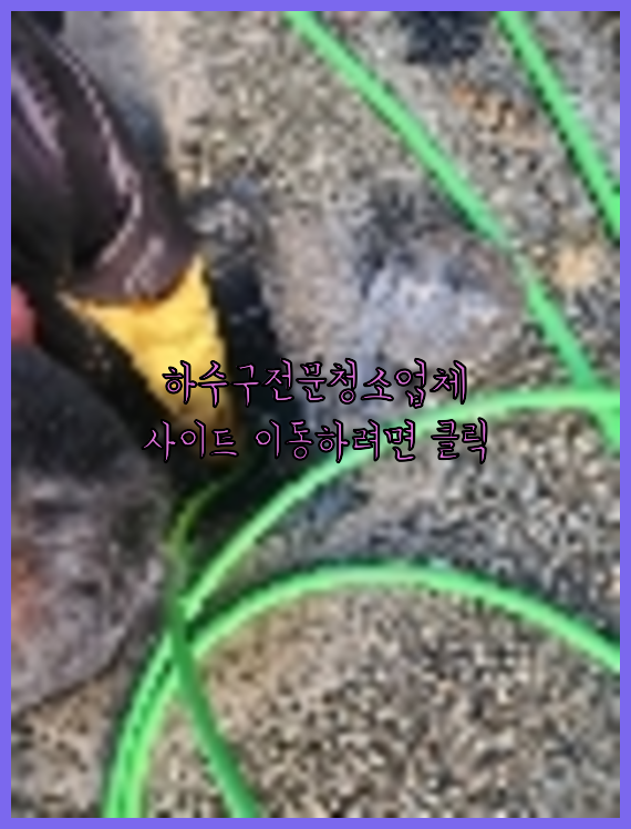 하수구