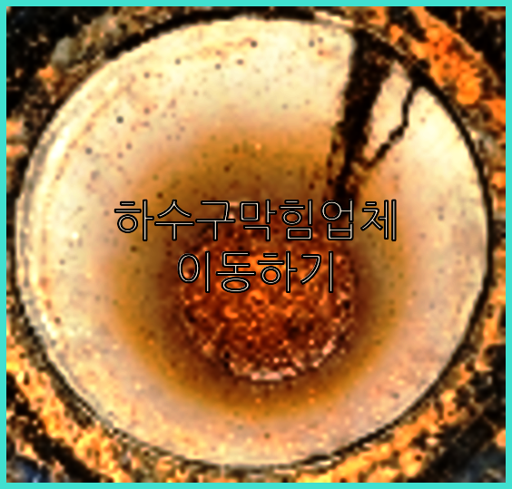 하수구청소