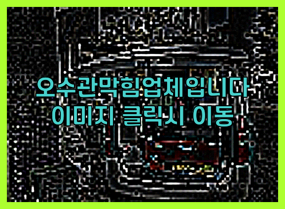 하수구청소