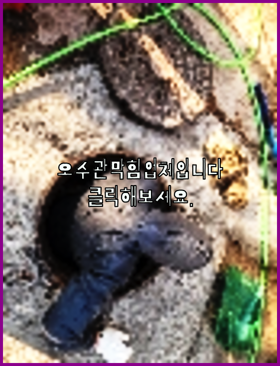 하수구청소