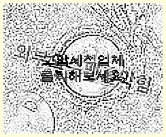 하수구청소