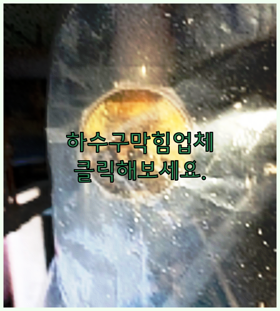 하수구막힘