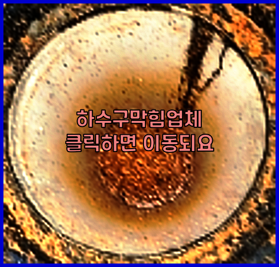 하수구