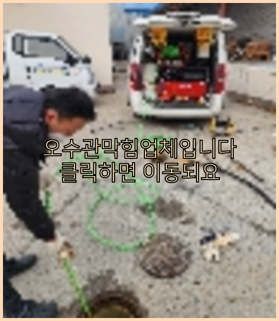 하수구청소