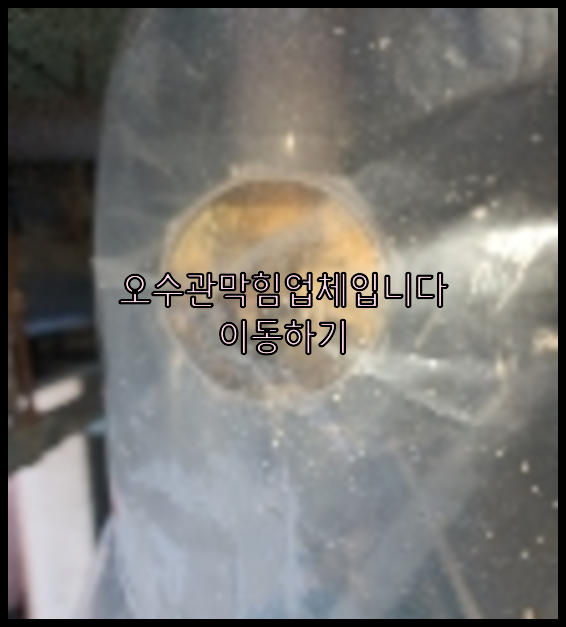 하수구청소