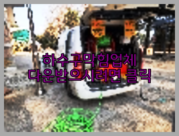 하수구청소