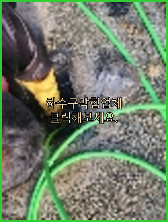 하수구청소