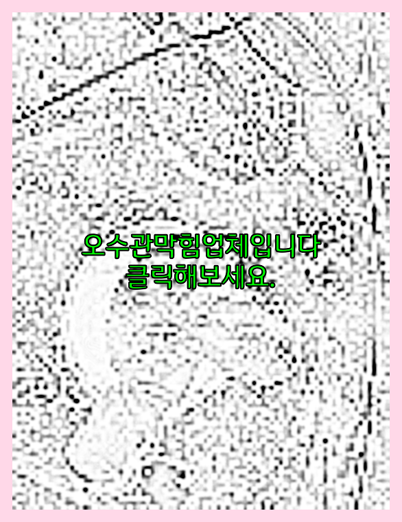하수구청소