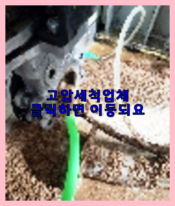 하수구