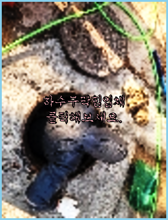 하수구청소