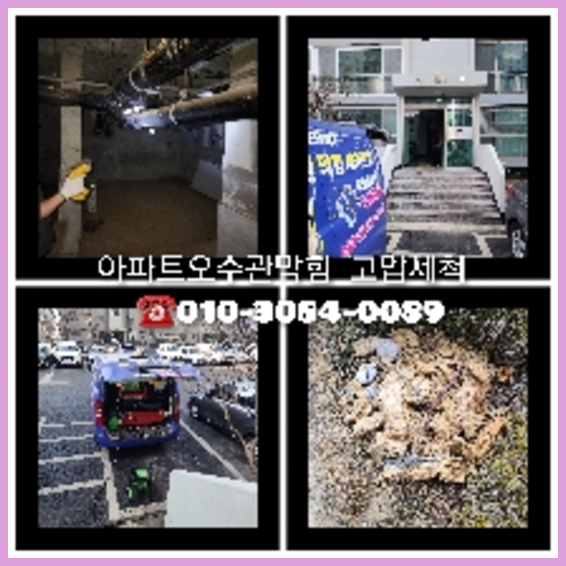 서초구 내곡동 변기역류