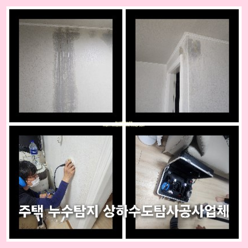 아파트횡주관고압세정추천