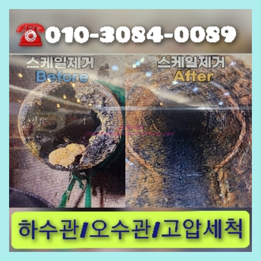 횡주관세척전문업체
