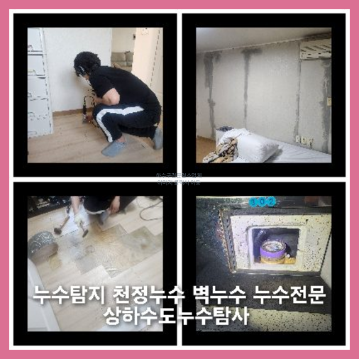 아파트횡주관세척후기