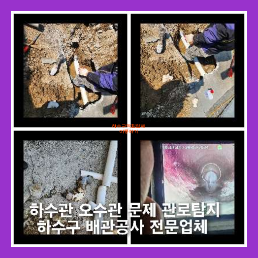횡주관청소전문