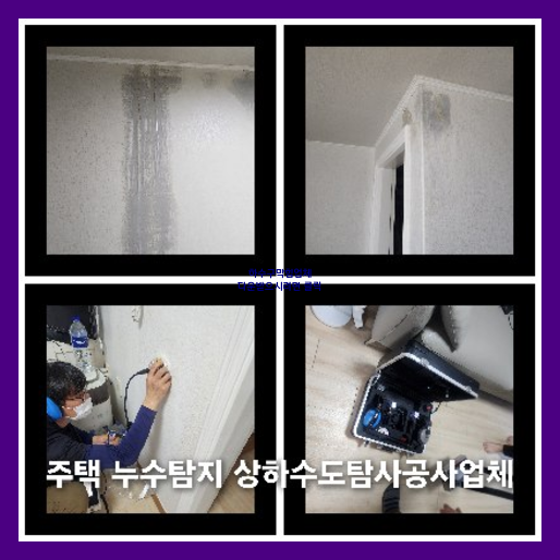 횡주관세정싼곳