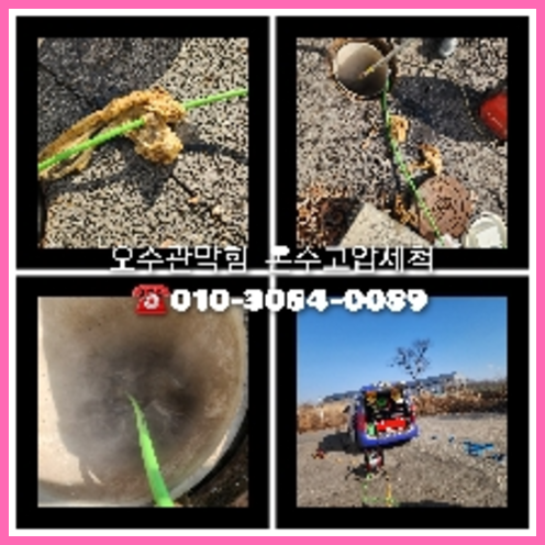 성북구 변기에서뽀글뽀글