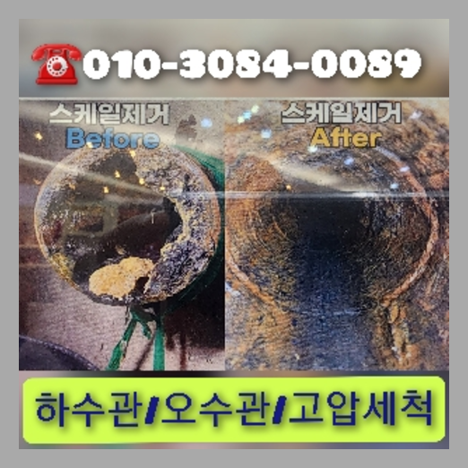강서구 마곡동 변기가역류되면