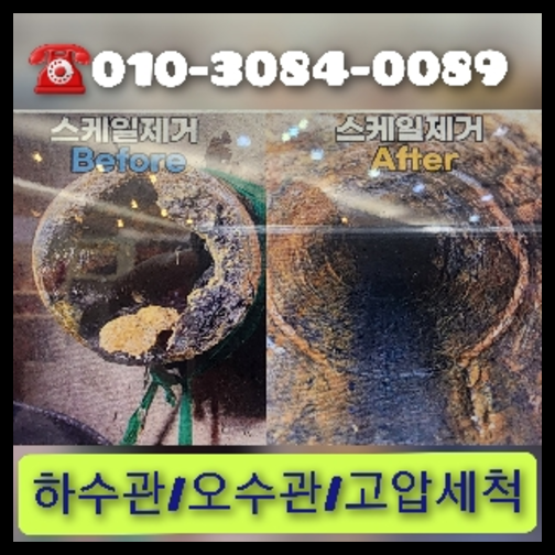 성북구 변기역류