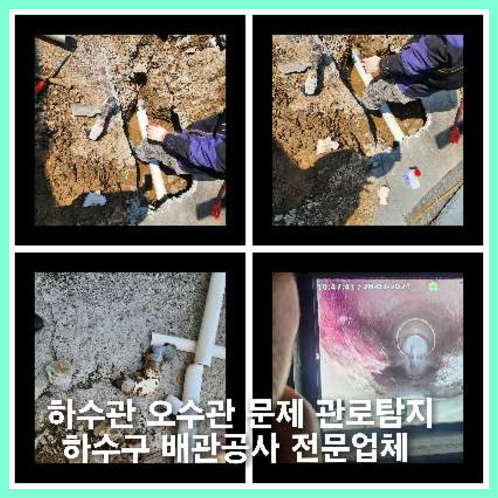 금촌횡주관